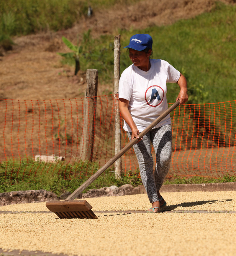 Zertifizierter Kaffee Espresso bio Fairtrade 