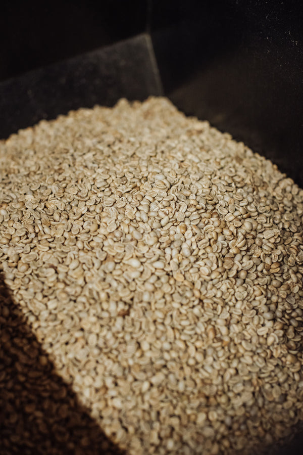 Rohkaffee richtig lagern: Worauf Kaffeeröster achten müssen