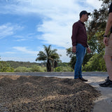 Paradies Vogel - Brasil Paraiso - Combined Fermentation