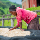 ruanda-kivu-pearl-microlot-baruli-kaffeeroesterei