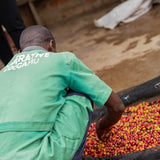 ruanda-kivu-pearl-microlot